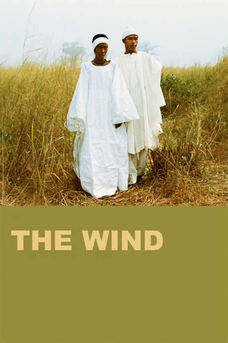 The Wind